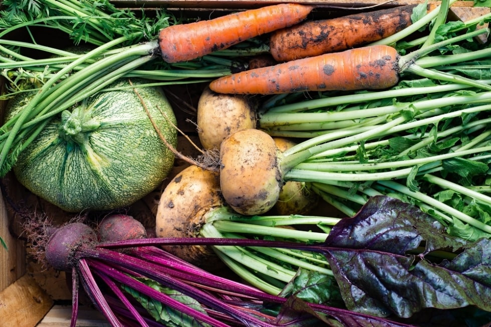 Boom di acquisti di alimenti bio: +21% in un anno!
