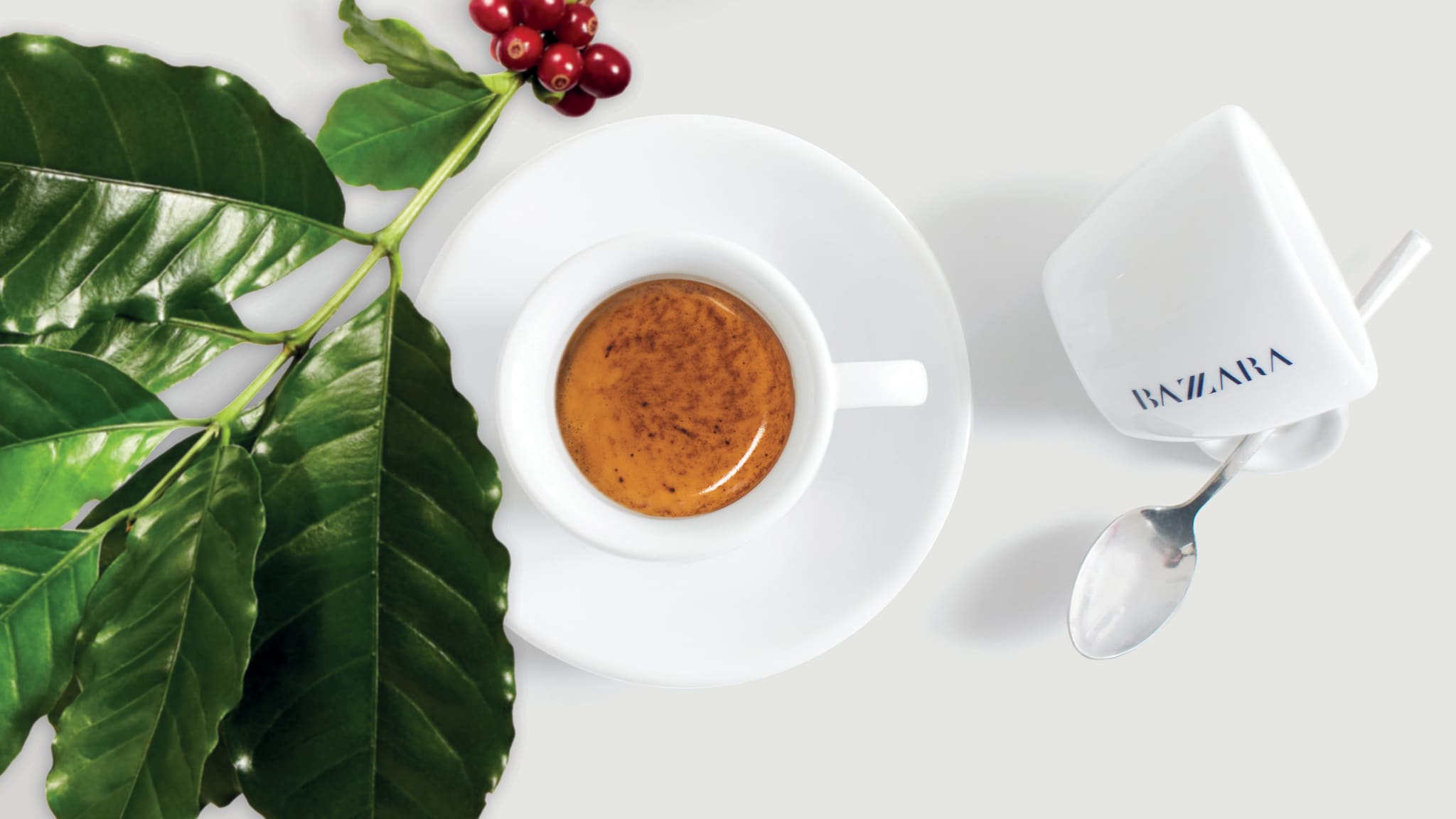 Trieste Coffee Experts: 2 giorni dedicati al caffè tra sostenibilità e innovazione