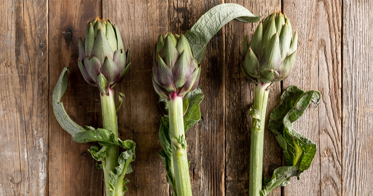 Come cucinare i carciofi: proprietà, usi, ricette e curiosità