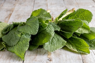 Come cucinare la borragine: proprietà, usi, ricette e curiosità