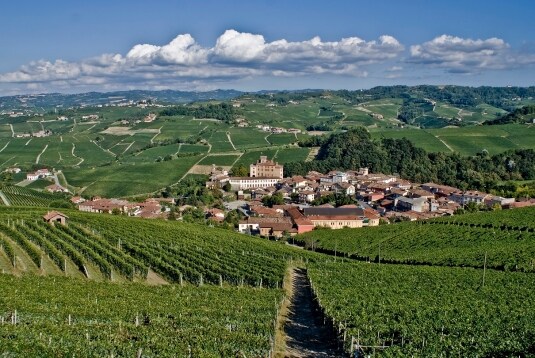Barolo