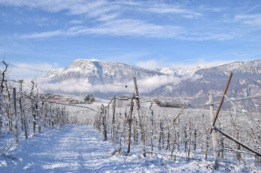 Trentodoc