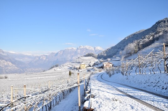 Trentodoc