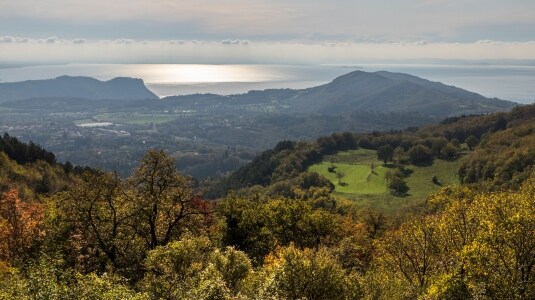 Bardolino e Chiaretto di Bardolino