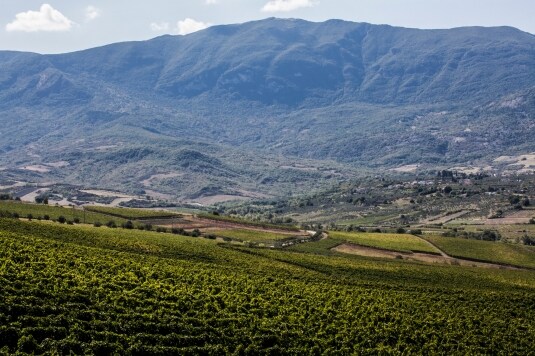 Montepulciano