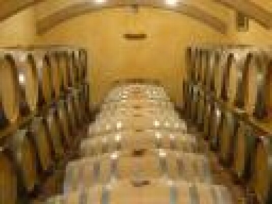 Romeo Bruni a Villa Patrizia, Maremma 100%