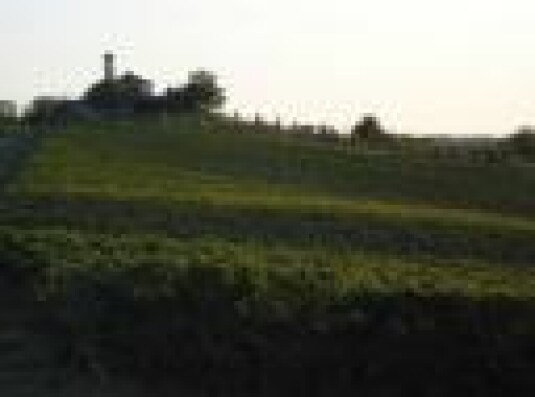 Torre Fornello: Due verticali e il nuovo Dosaggio Zero