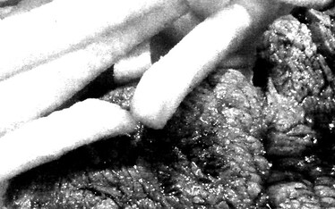 Appunti Diviàggio: Novotel Atria Centre ad Annecy