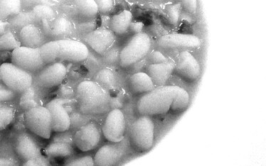 Appunti Diviàggio: E' curti a Sant'Anastasia