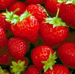 Sapore vero a chilometri zero
