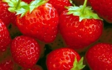 Sapore vero a chilometri zero