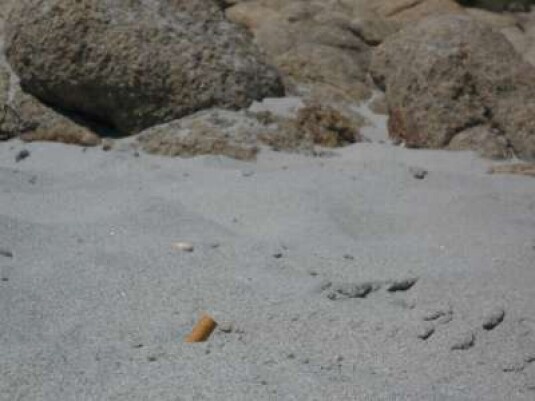 Appunti Diviàggio: [feels like] Heaven, Biderosa