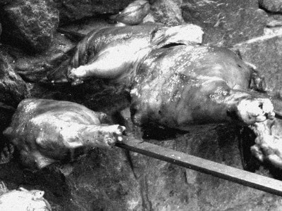 Appunti Diviàggio: Pedras Rujas a Posada