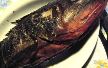 Fenomenologia della grigliata