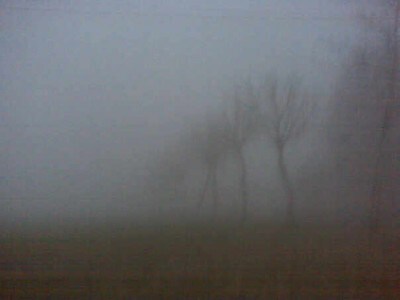 La Nebbia