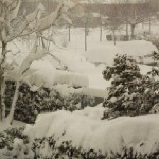 Interrompiamo momentaneamente le trasmissioni causa neve