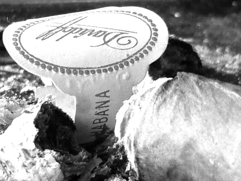 Davidoff Lancero 1992 [9.0]