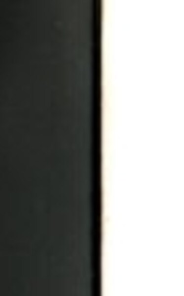 Le sette vite di Ferran Adrià