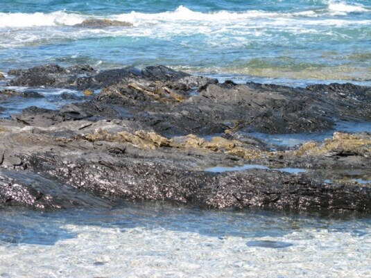 Appunti Dilùce | Rena Major