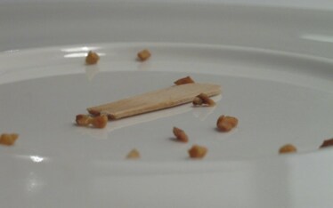 Botturismi | Quel che resta del <span style="text-decoration: line-through;">giorno</span> Magnum