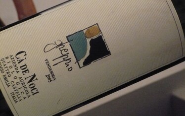 Piccoli grandi vini | Il gheppio Cà de Noci 2005, sensazioni umbratili e brividi elettrici