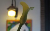 Appunti Diviàggio | Taverna Estìa, a Brusciano