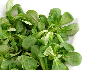 Il Sabato del Villaggio | L'auspicabile obliterazione della valerianella.