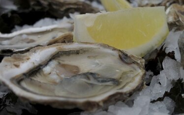 Linguismi | Huitres d'Autriche