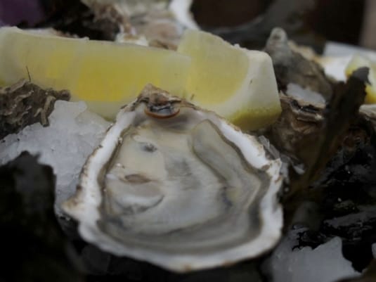 Linguismi | Huitres d'Autriche