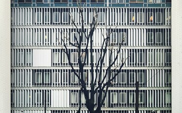 Visintin | Lo straordinario delle ghiandole salivari