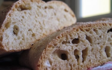 Lievitazionismi | Semintegrale senza impasto