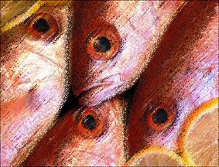 Pignataro | Come una triglia nel mare del web