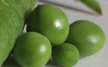 Il Sabato del Villaggio | Vita da Blogger