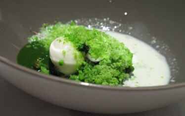 Botturismi | Sogno di una mucca di mezza estate