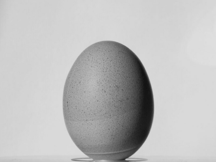Pascua Konqui Woy