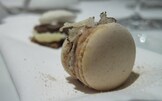 Botturismi | Macaron e pelle di faraona