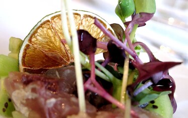 Cavallaro | La riscossa del povero sgombro