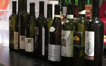 Fiano, degustazione diagonale dentro il vulcano
