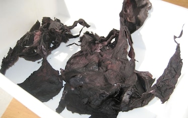 La madre di tutte le leggende: la "madre" dell'aceto