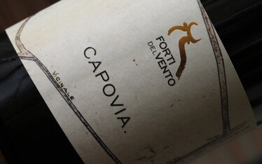 DOC Monferrato Rosso "Capovia" - Forti del Vento 2008 [7.0]