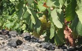 Folgorazioni | Santorini, Caldera e Vini