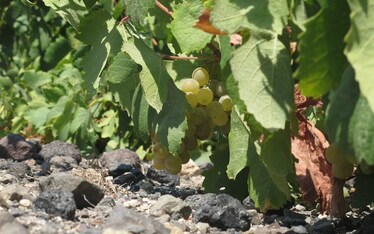 Folgorazioni | Santorini, Caldera e Vini