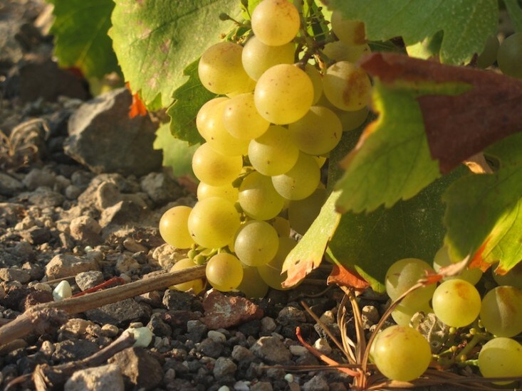 Il Sabato del Villaggio | Venne il tempo dell'apologia del Luddismo