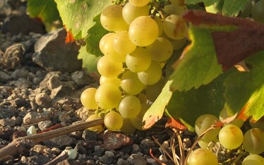 Il Sabato del Villaggio | Venne il tempo dell'apologia del Luddismo