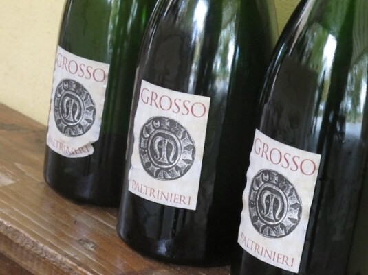 Nuovi Lambruschi | Grosso, Cantine Paltrinieri