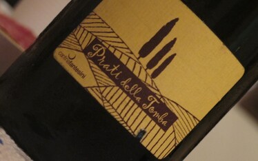 IGT Lambrusco dell'Emilia "Prati della Tomba" - Fantesini s.a. [7.5]