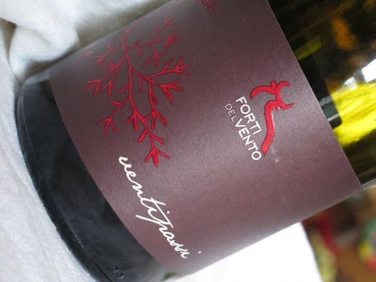 DOC Monferrato Rosso "Ventipassi" - Forti del Vento 2009 [7.2]