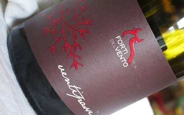 DOC Monferrato Rosso "Ventipassi" - Forti del Vento 2009 [7.2]