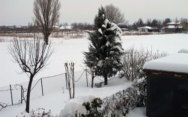 Il Sabato del Villaggio | Come si insinua il relativismo contemporaneo tra un piatto di tagliatelle al ragù ed una pasta e fagiuoli, se son zolfini.