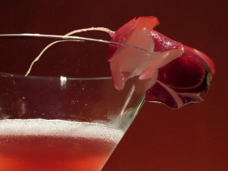 Derive | The Bento Experience